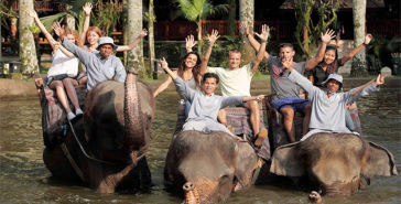 Bali Elephant Safari tour