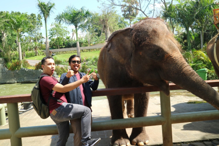 Paket Tour Wisata Murah