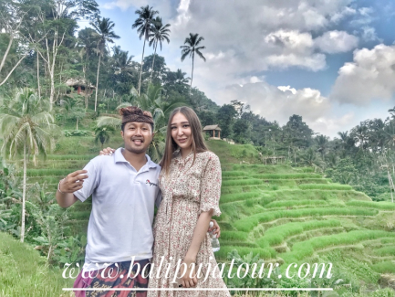 charter vehicle hire car rental bali tours and travels