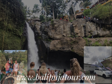 Excellence Car Rental with a Driver in Bali