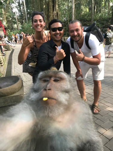 How Much are the Tickets for Monkey Forest Bali?