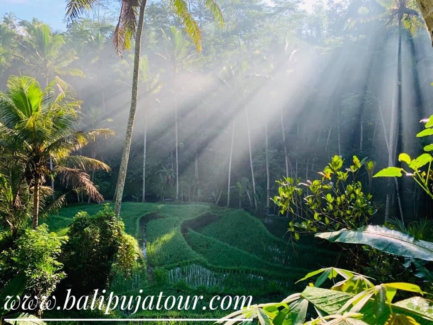 Bali Private Combination Waterfall Swing tour