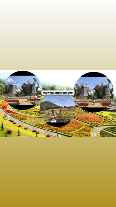 Keindahan Tanaman Bunga The Blooms Garden Bedugul Bali