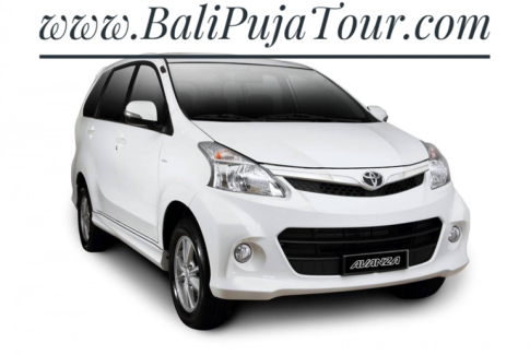 Bali Private Driver Price