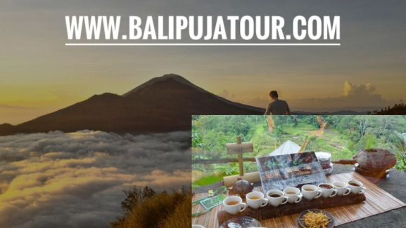 mount batur sunrise hiking and coffee plantation tour