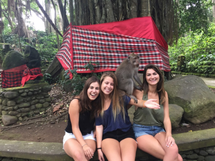 Ubud Taxi Driver and Transport Service Kabupaten Gianyar Bali