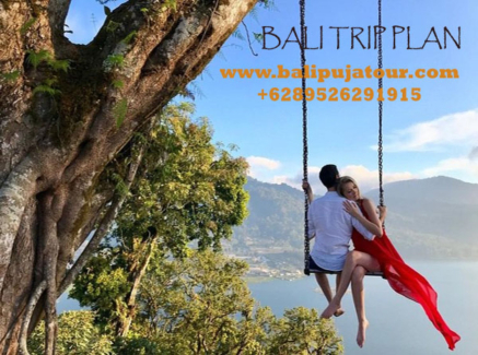 Bali Tour Organizer with Trip Plan