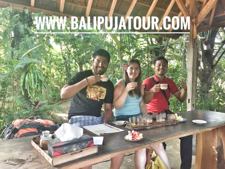 bali private tours with private driver guide