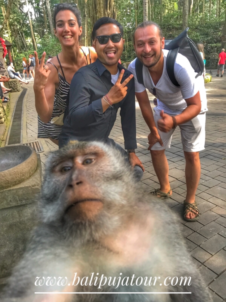 ubud bali driver private tour