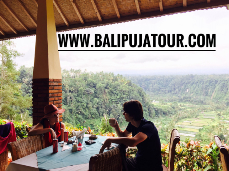 Bali Tour Driver and Tourist Information