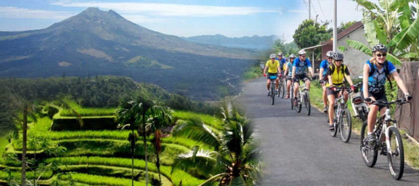 Ubud Bali Bicycle Tours Private Tours