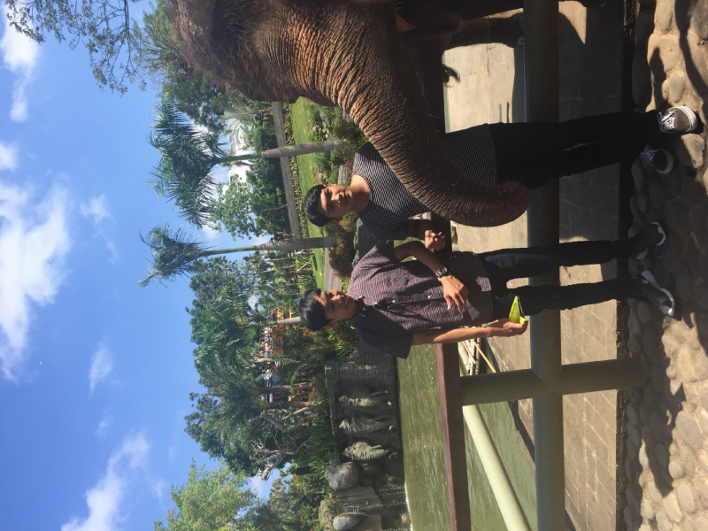 Bali Elephant Safari tour
